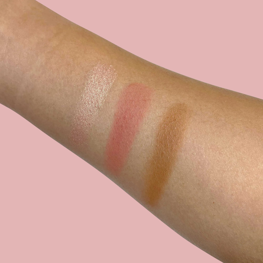Pro Cheek Palette_2.png
